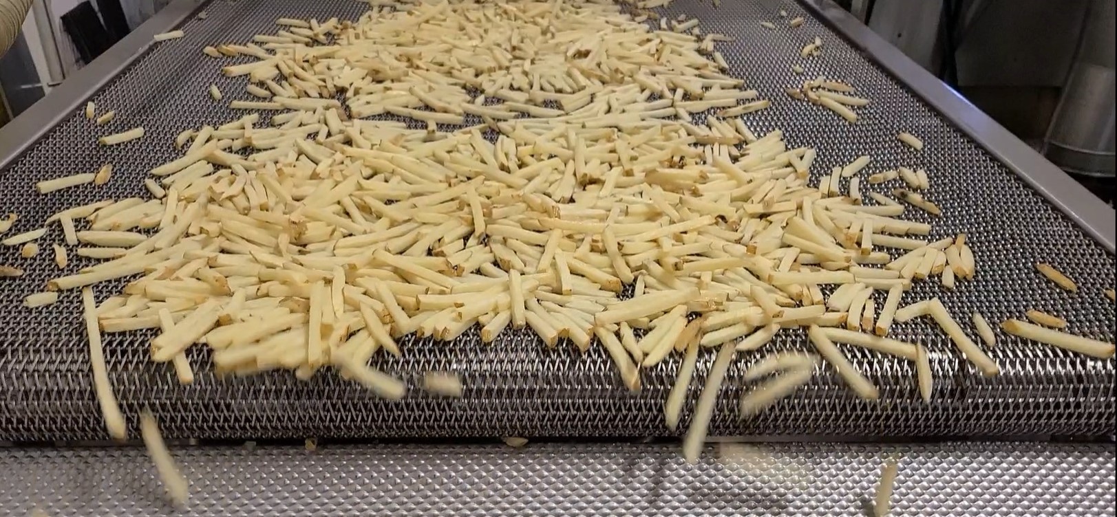 SLIM Cut FRY….small in size, GREAT in value.